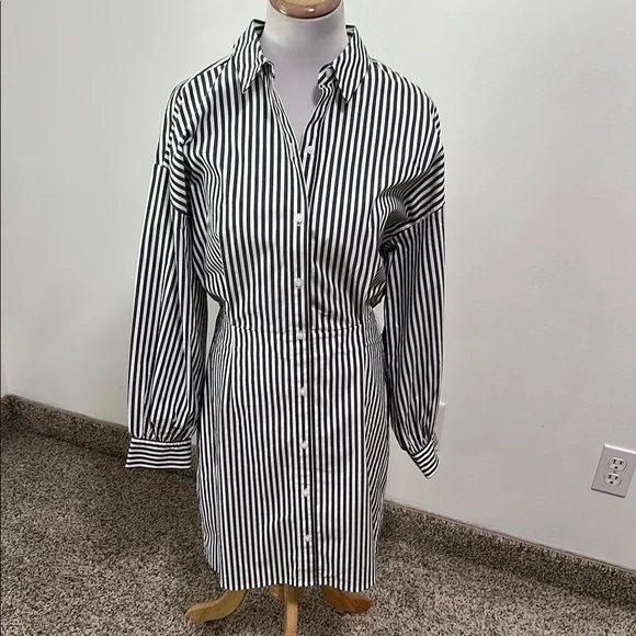 🐾 NWT Express Shirt Dress - Picture 1 of 6
